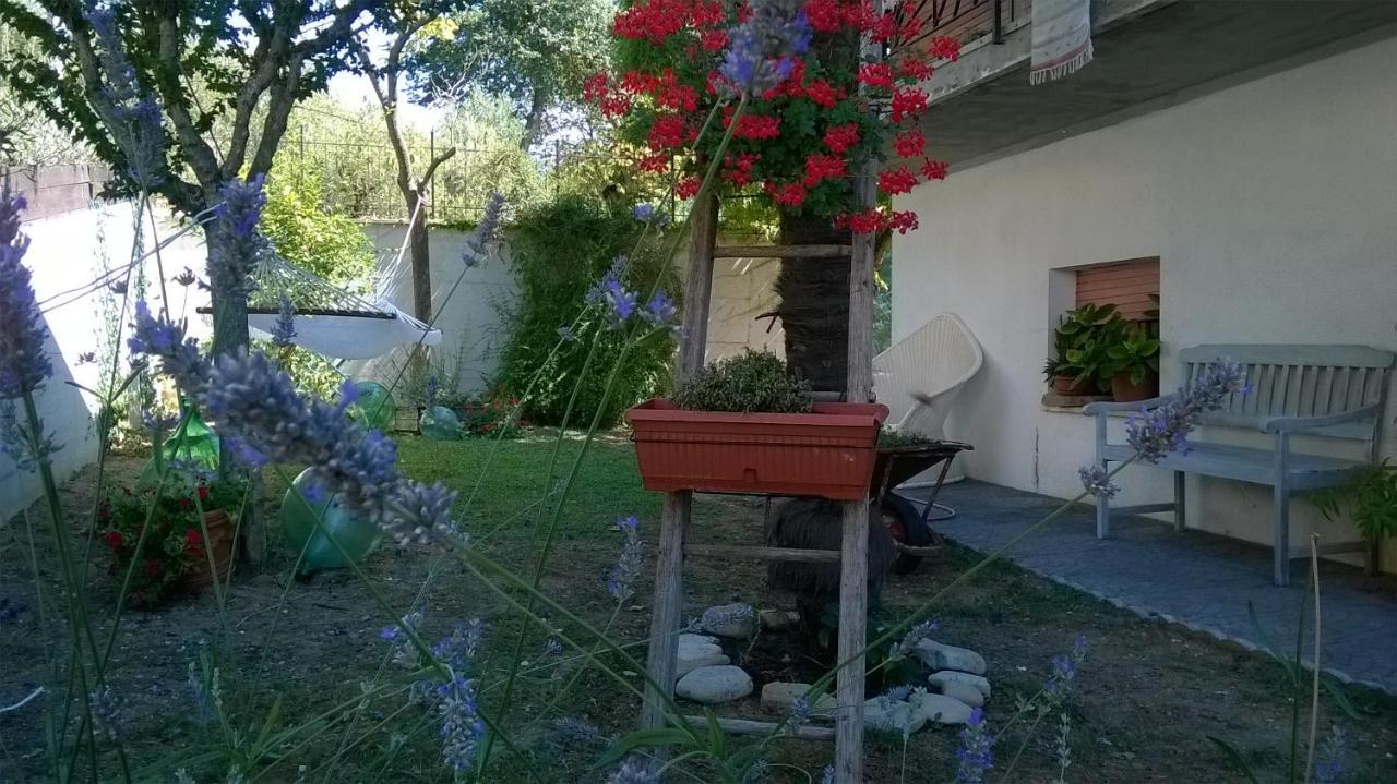 B&B Teranga Montecarotto Exterior foto